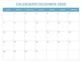 Previsualización del formato para el mes de Diciembre año 2020
